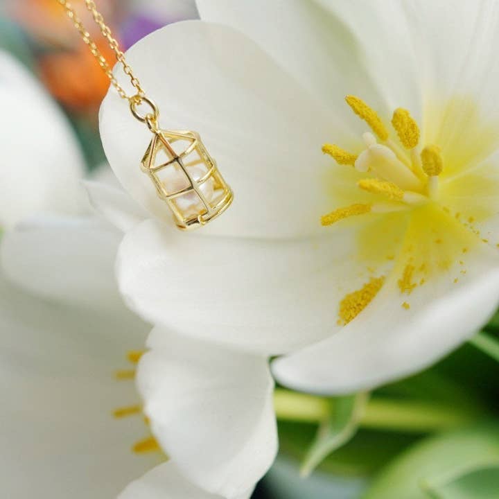 Findingyoyo - Wholesale Pendant/Charm Necklace - Birdcage Necklace3