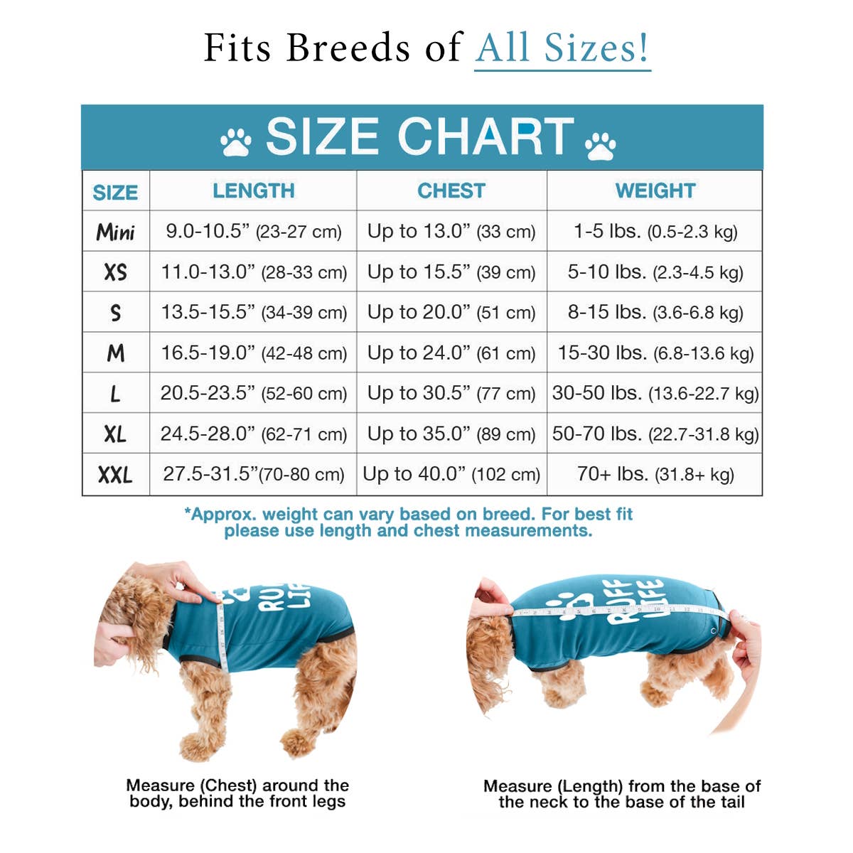 BellyGuard Recovery Suit For Dogs - Blue for wholesale on Faire2