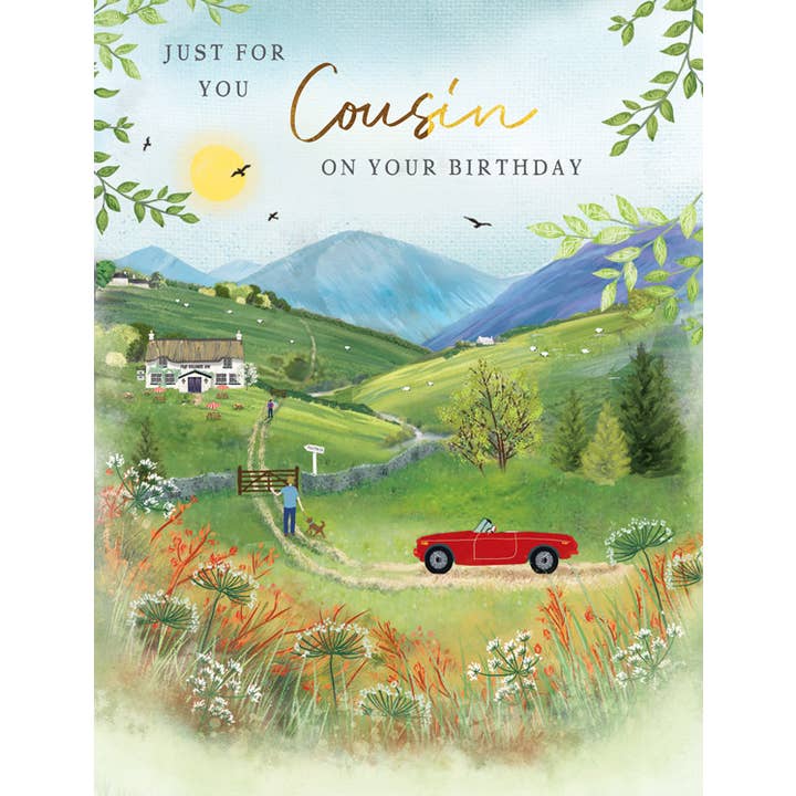 Piccadilly Greetings – wholesale Birthday card – Birthday Card, Cousin M, Car Scene