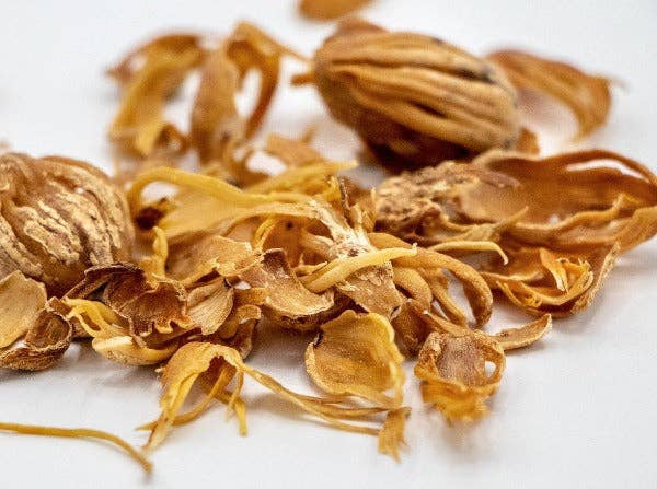 Compagnie Française des Poivres et Epices - Wholesale Dried Spice - Mace1