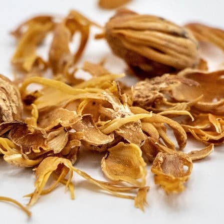 Compagnie Française des Poivres et Epices - Venta al por mayor Especias secas - Macis de Myristica fragrans1