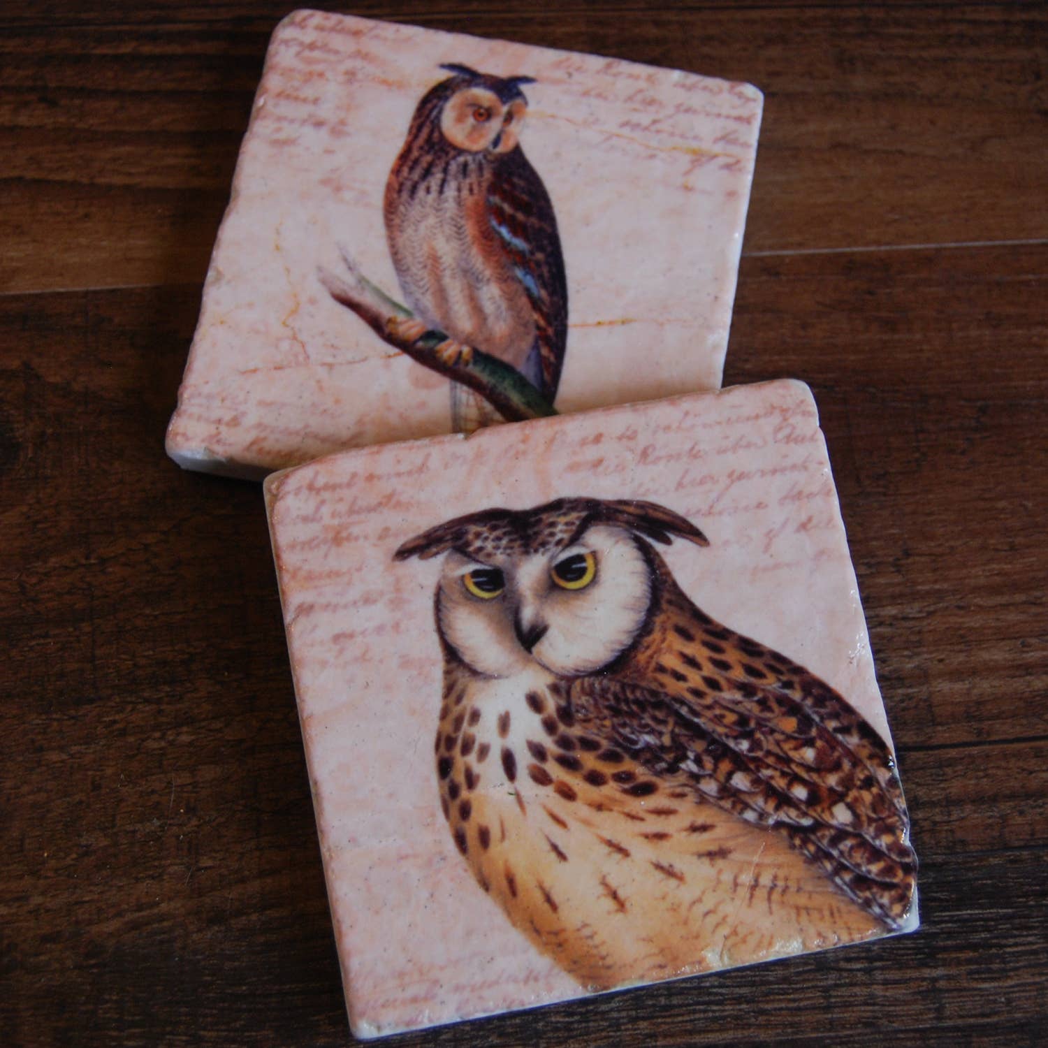 The Painted Lily - Wholesale Coasters - Keepers of the Forest stone coasters - case of 42