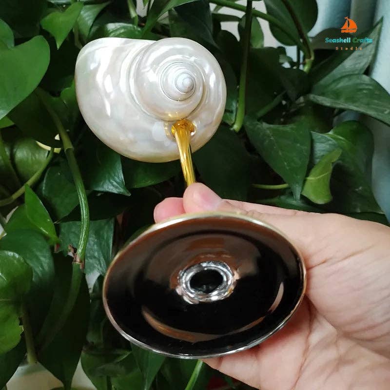 Kiyo Home – Großhandel Trinkglas/Tasse – Seashell-Gläser-Set aus 4 | Cocktailglas | Margarita-Glas15