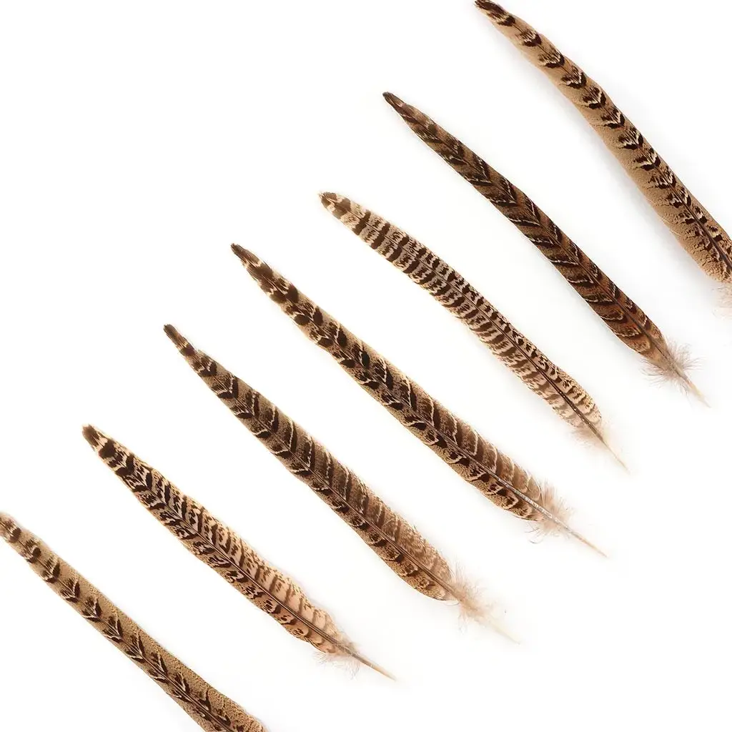Zucker Feather Products - Wholesale Craft Supplies - 10 PC/PKG Female Ringneck Pheasant Tails 10-12" - Natural2