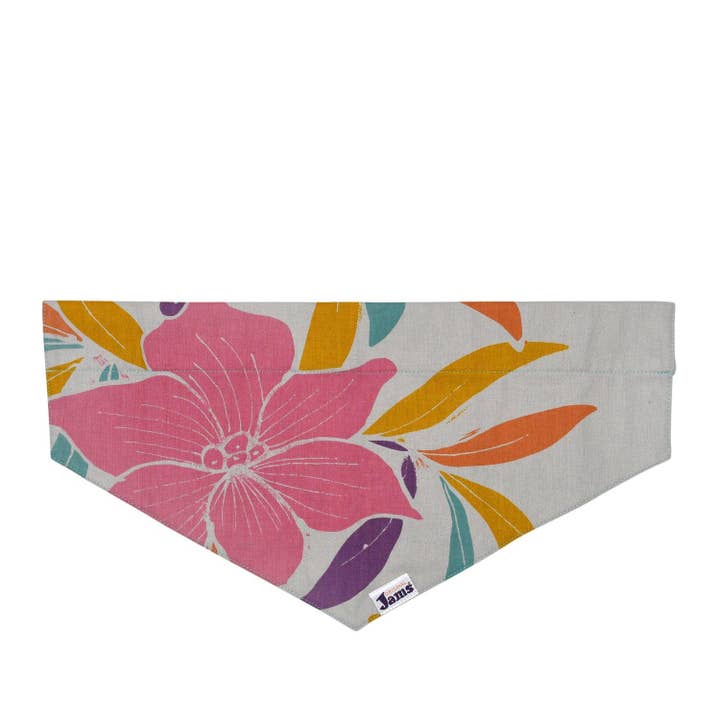 Pet Collar Scarf - Jams Dwarfana Natural & Dragon Fly Orange for wholesale by JAMS World