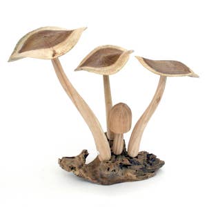 Purchase Wholesale wood mushroom. Free Returns & Net 60 Terms on Faire
