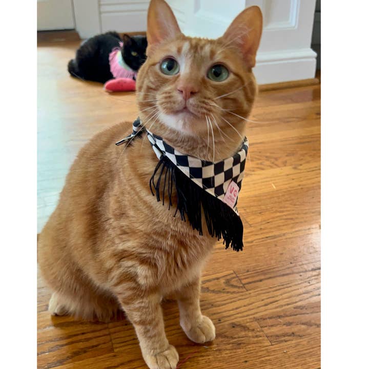 Velvet Outlaw - Wholesale Pet Bandana - Dog - Black & White Checker Fringe Dog Bandana1