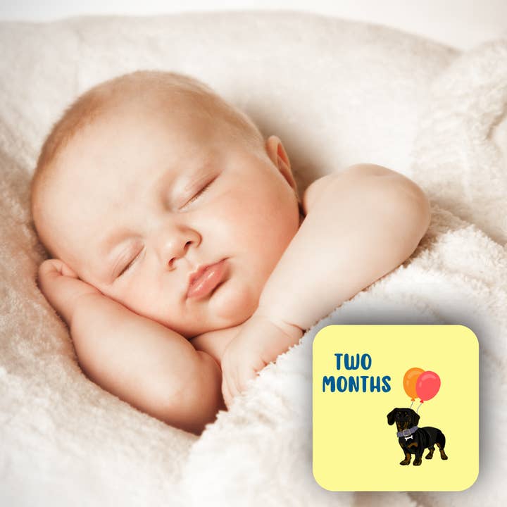 Wild & Wright - Wholesale Milestone Art/Keepsake - Kids & Baby - Welcome to the Pack Milestone Card Set