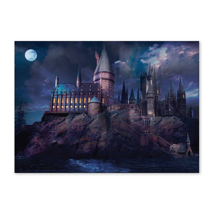Harry Potter Hogwarts Castle at Night Backdrop Banner 5x7ft for wholesale by Conquest Journals