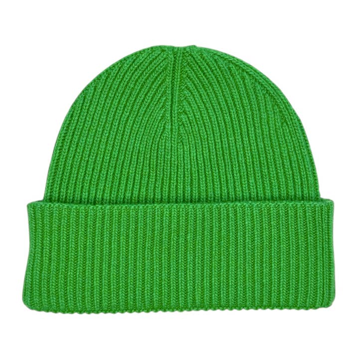 DOUBLE TURN-UP MINT BEANIE for wholesale by BeCap