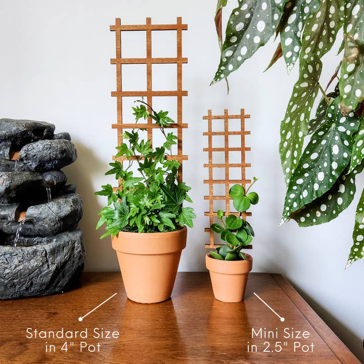 Leaf & Node - Wholesale Trellis - Ladder Indoor Wooden House Plant Trellis (2 Size Options)1