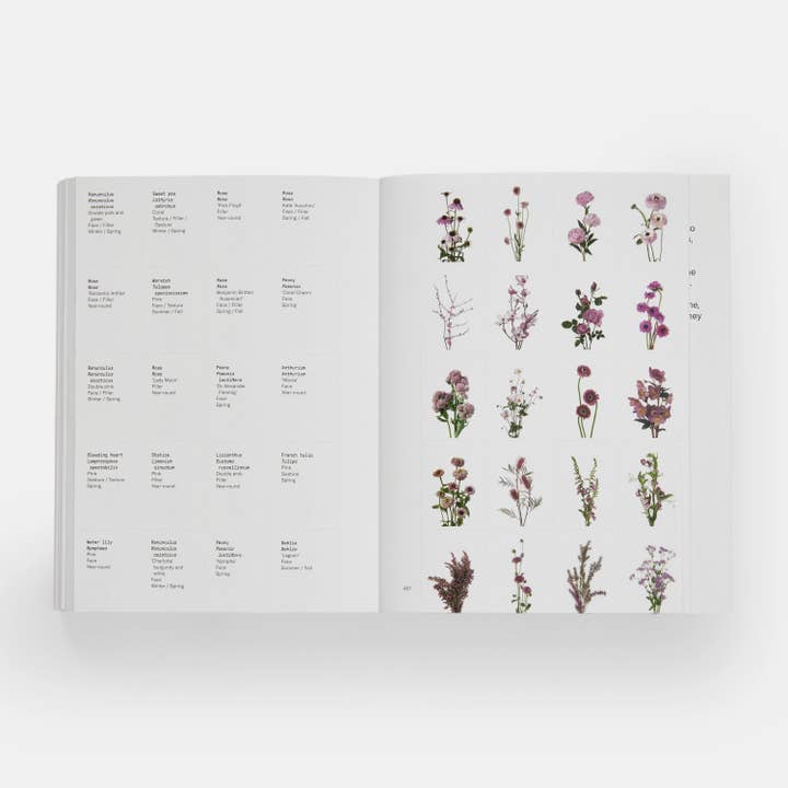 Phaidon Press - Wholesale Book - Adult - Flower Colour Guide
