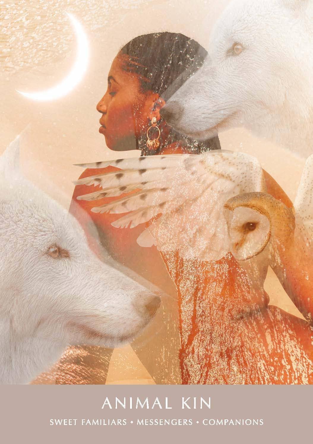 Cardshouse - Wholesale Tarot Cards - The Dreamgate Oracle and guidebook Rp Studio8