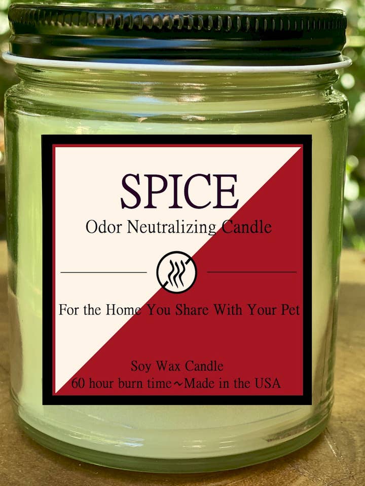 8 oz Odor Neutralizing Candle- Spice for wholesale by Candle Consultants