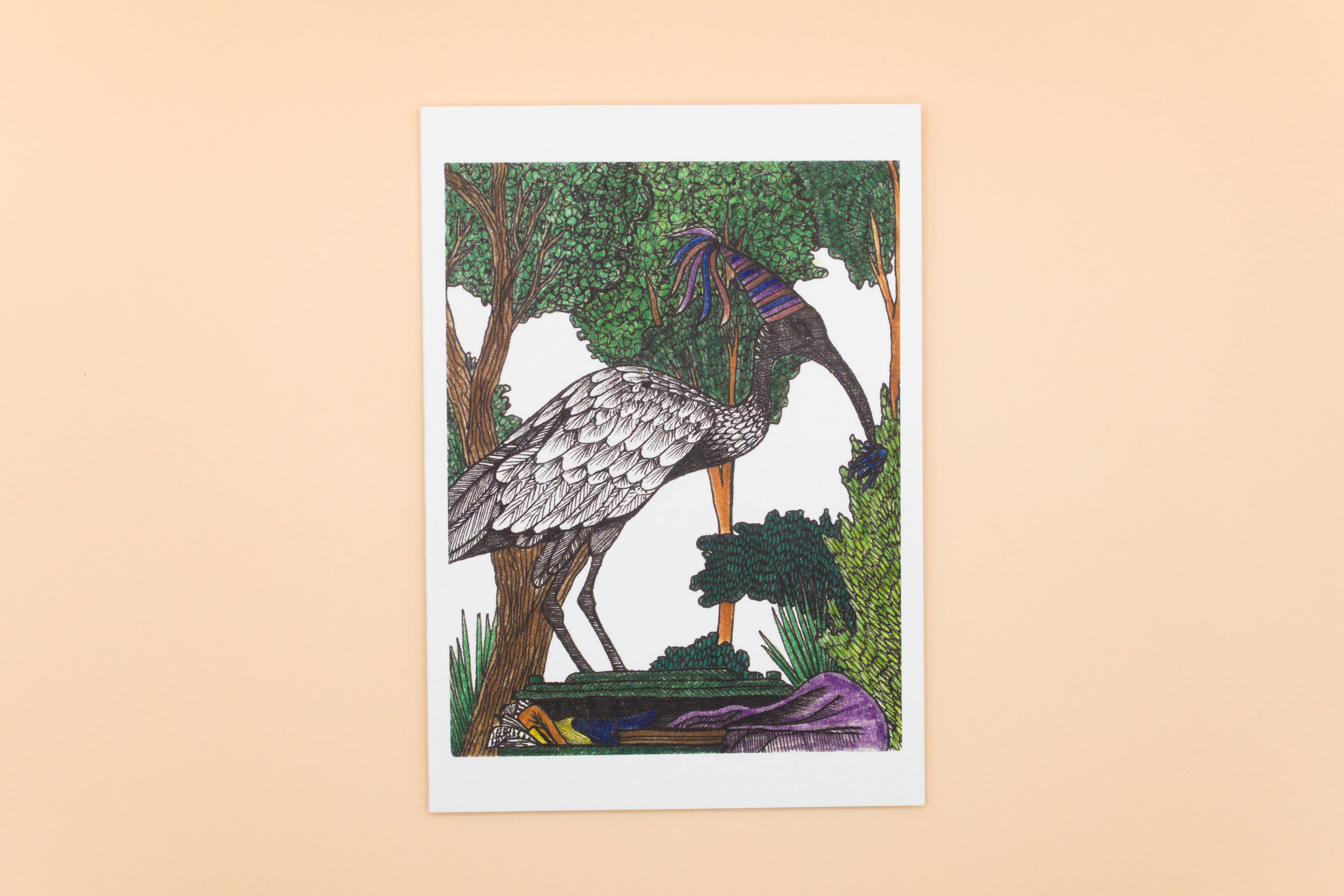 Sunshine Sea Art - Wholesale Birthday Card - Ibis Greeting Card Australian Bird Birthday Bin Chicken Card0