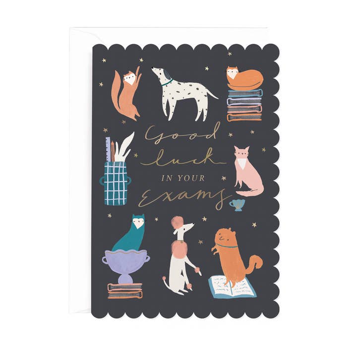 Fluffy & Fancy Viel Glück bei den Prüfungen für den Großhandel von Hotchpotch