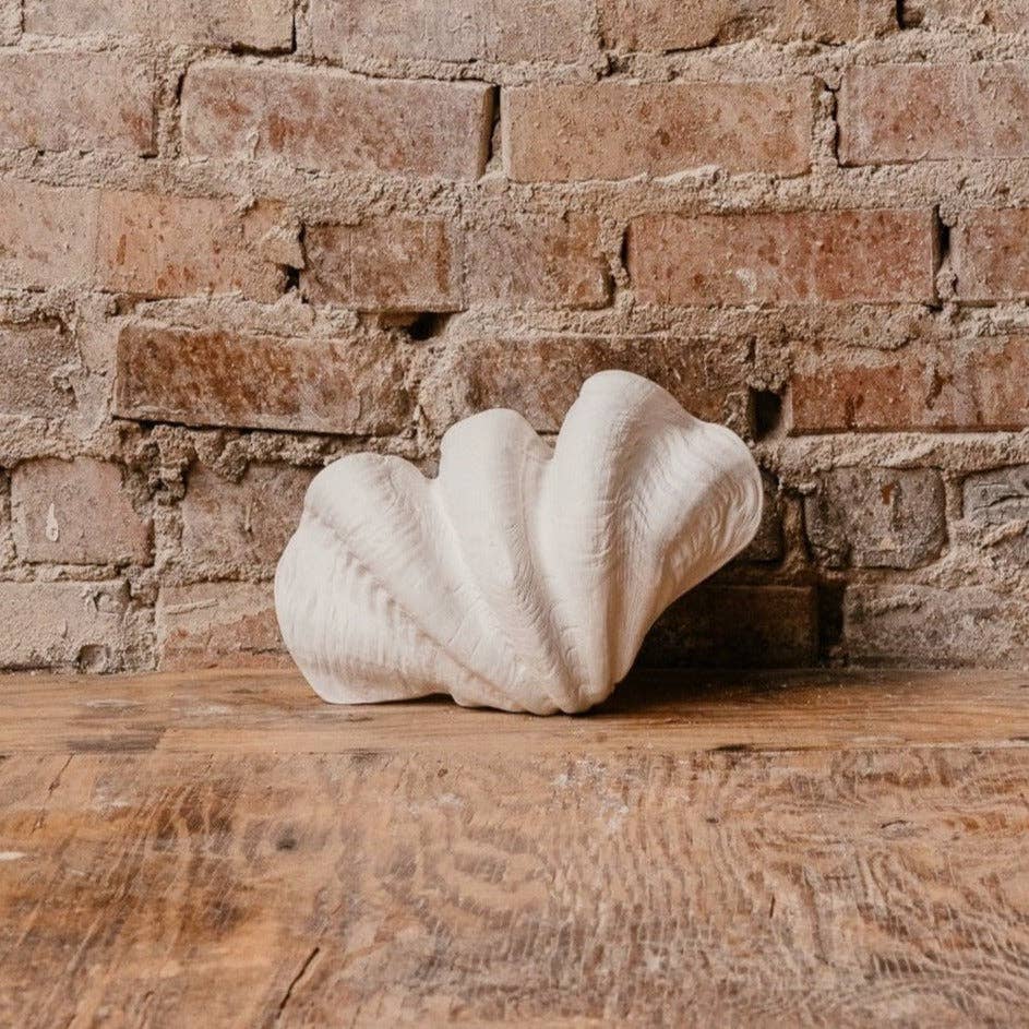 House Parts, Inc. - Wholesale Decorative Tabletop Object - Small Clam Shell0