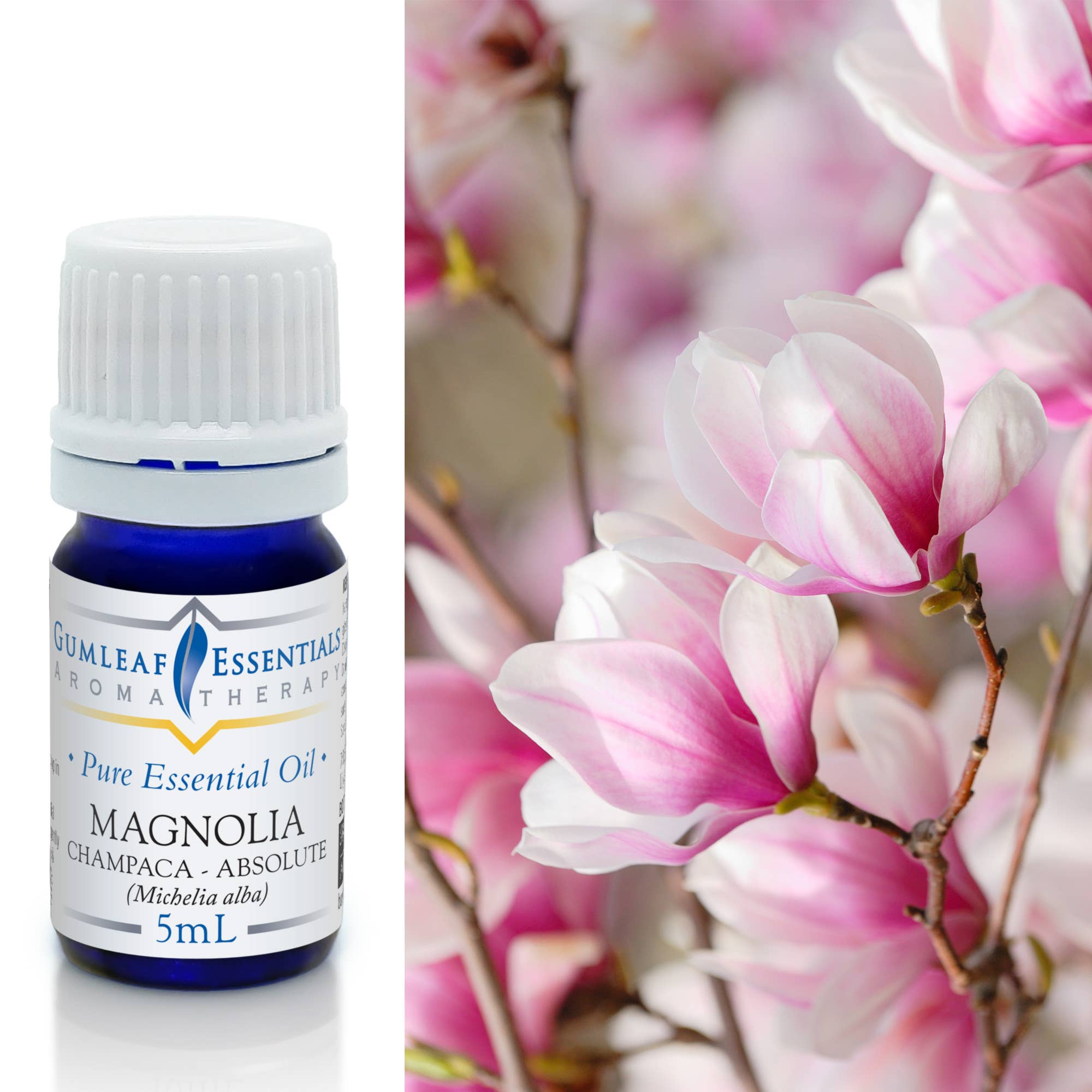 Buckley & Phillips Aromatics - Wholesale Essential Oil - Magnolia Champaca Absolute Essential Oil 5ml0