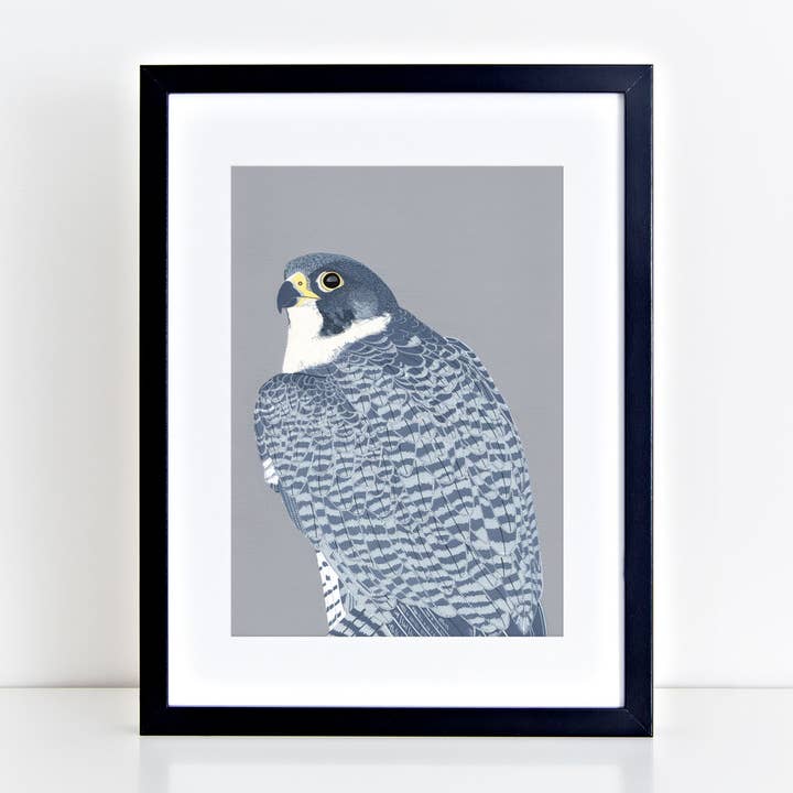 Peregrine Falcon Art Print for wholesale by Bird the Artist
