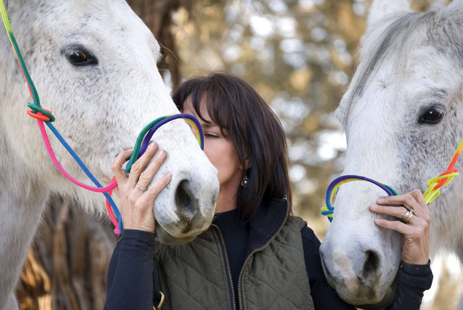 Smart Horse Gear - Vente Équipement d’équitation - Licol en corde Rainbow de qualité supérieure1