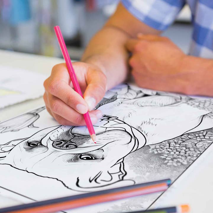 Pop Colors Colored Pencils and Coloring Sheets – wholesale Painting/drawing – Canine Colors Colored Pencil Set for Dog Lovers4