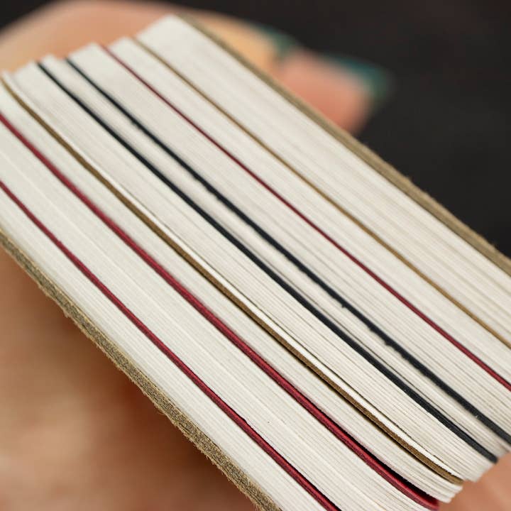 The Well-Appointed Desk - Wholesale Stationery/Notecard Set - Col-o-ring Dividers - Set of 20 Cards (PROTOTYPE!)10