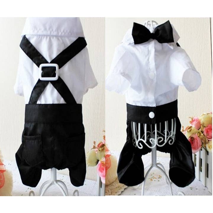 Handsome Stylish Pet Suit with Bow Tie for wholesale by Furr-Baby Gifts