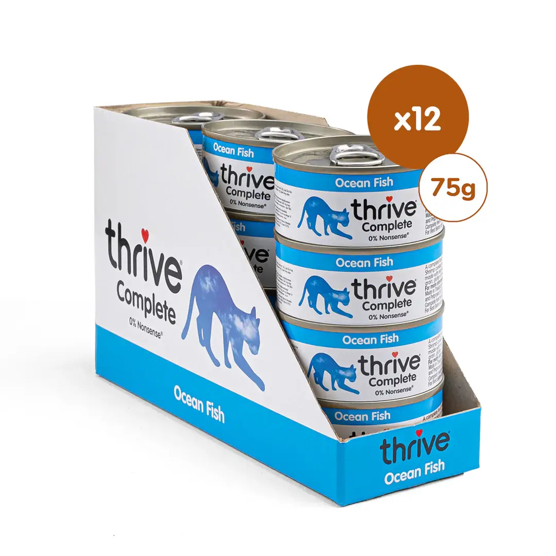 PetGiftz LLC - Wholesale Pet Food - Cat - Thrive Ocean Fish Wet Cat Food PACK OF 12 (2.65 OZ CANS)0