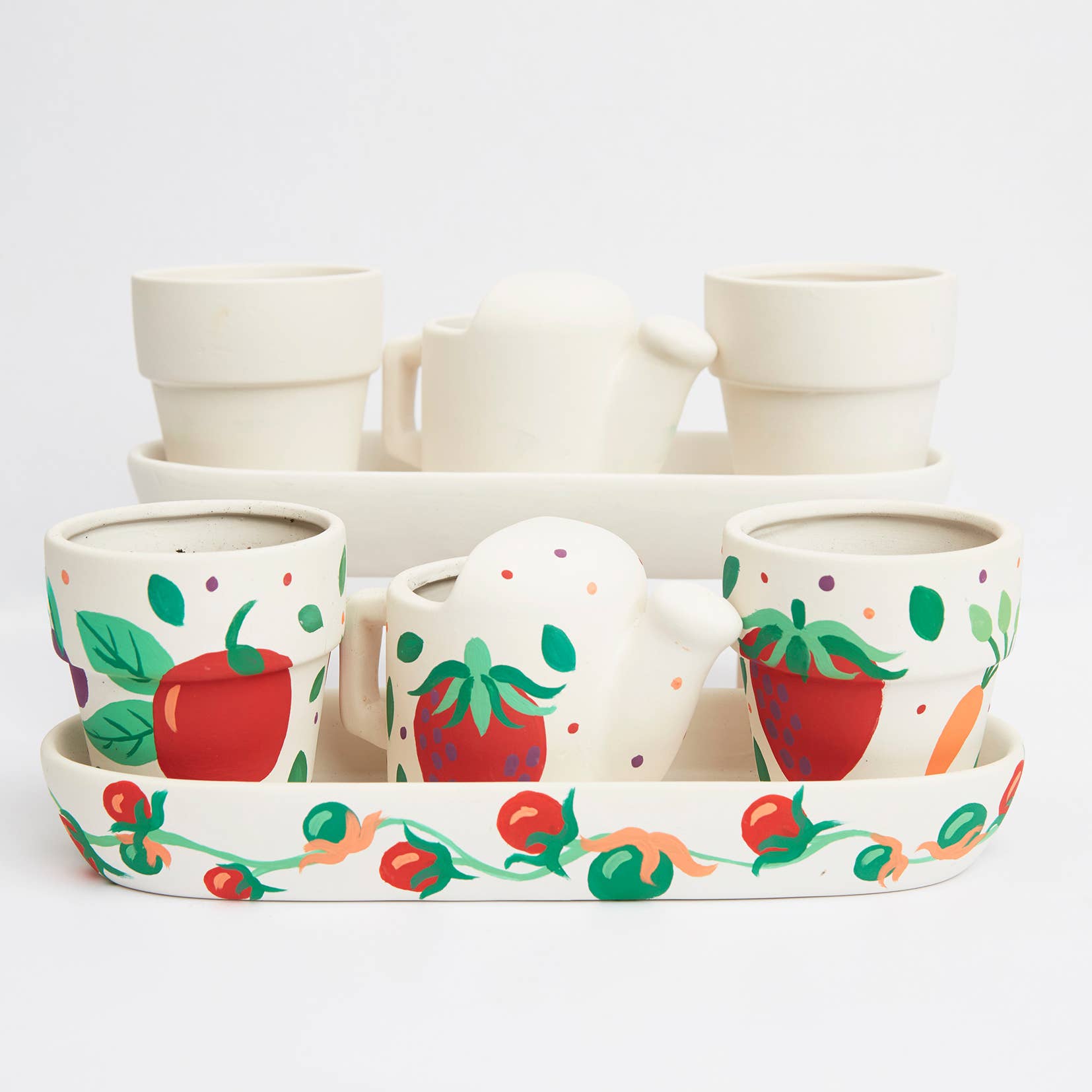 West Design Products – Pintura/desenho por atacado – RHS Paint Your Own Set, Branco, Kit de Artesanato, Janela para Jardim10