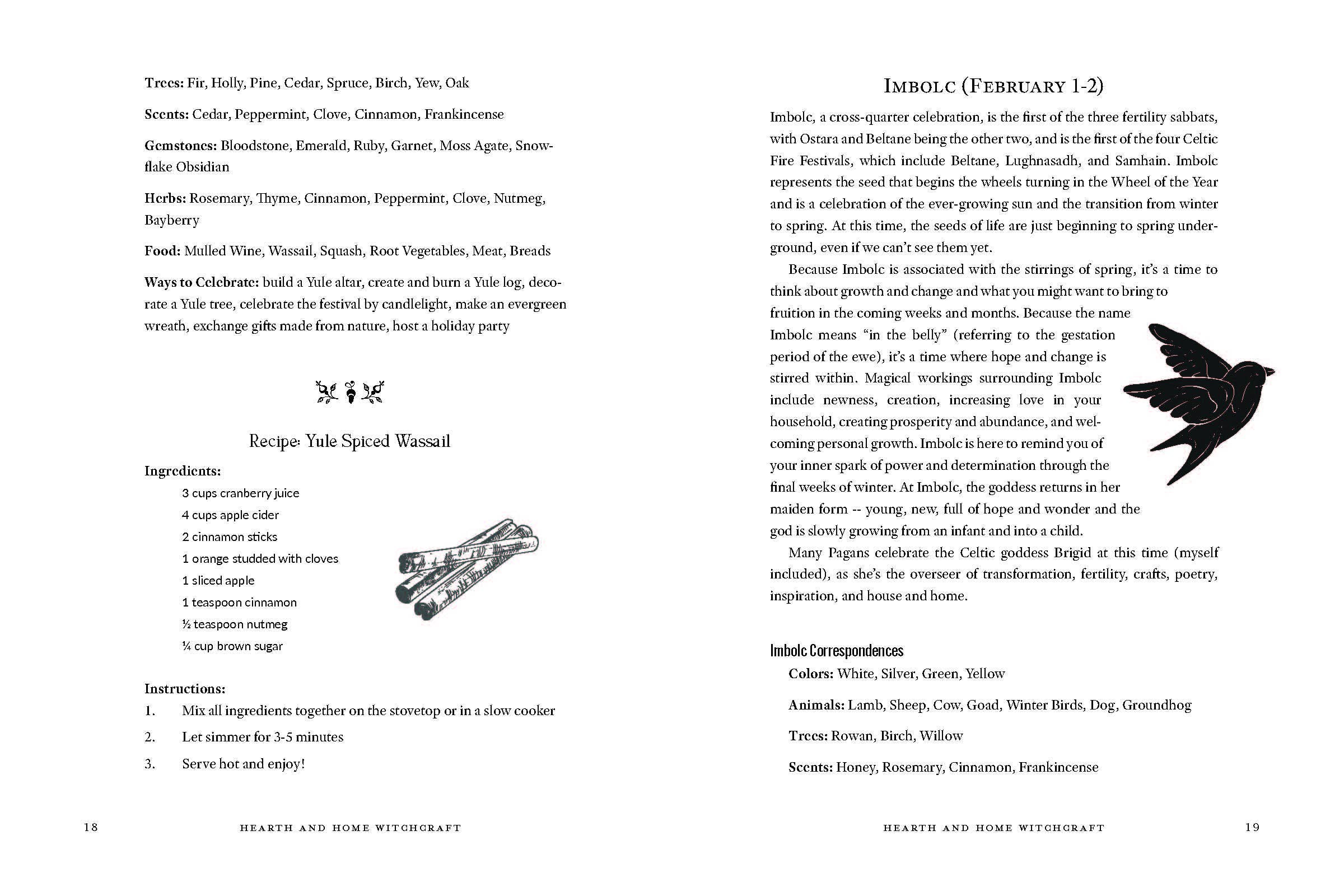 Red Wheel/Weiser LLC - Wholesale Body, Mind & Spirit - Hearth & Home Witchcraft by Jennie Blonde2