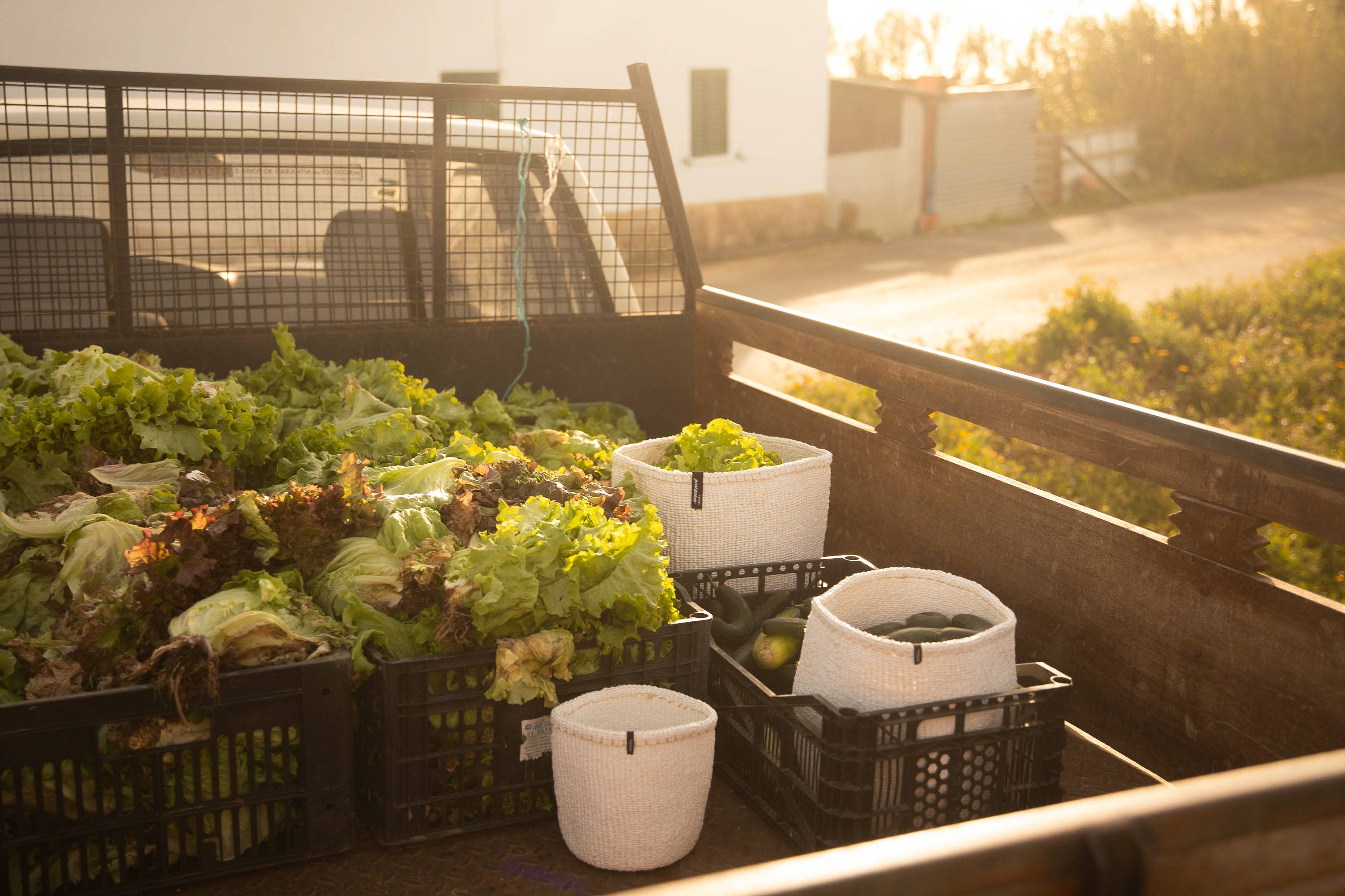 Mifuko – wholesale Basket – Kiondo basket | White XS2