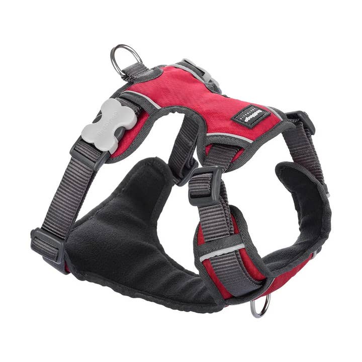 Red Dingo Dog Padded Harness Red for wholesale by Sherwood Paws