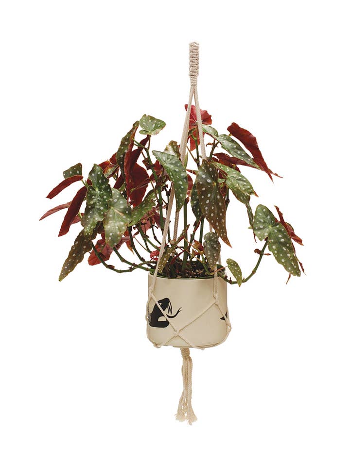 40" Macrame Plant Hanger for wholesale by Soul of the Party