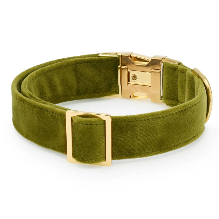The Foggy Dog - Wholesale Pet Collar - Dog - Moss Velvet Dog Collar1