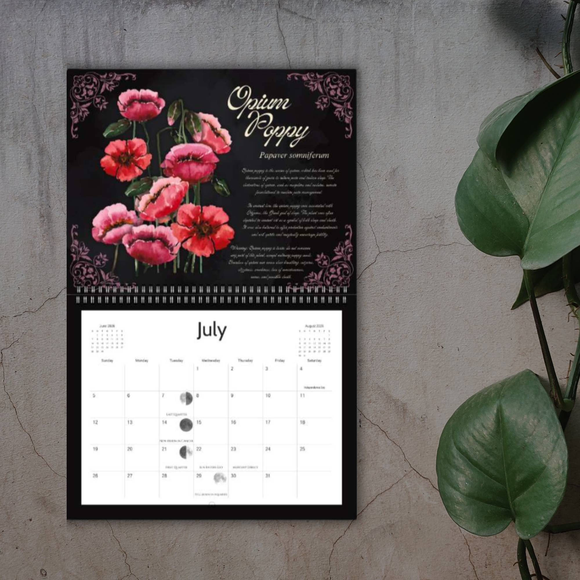 Calendar Magic Co. - Venta al por mayor Calendario - Calendario de PLANTAS VENENOSAS 20264