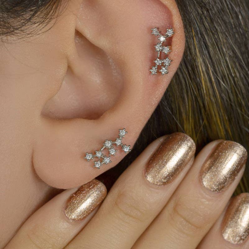 StockJWL - Wholesale Stud/Post Earrings - 12 Zodiac Earrings, Constellation Stud Earring Stud Piercing Tragus Helix Lobe and Cartilage Silver And Gold54