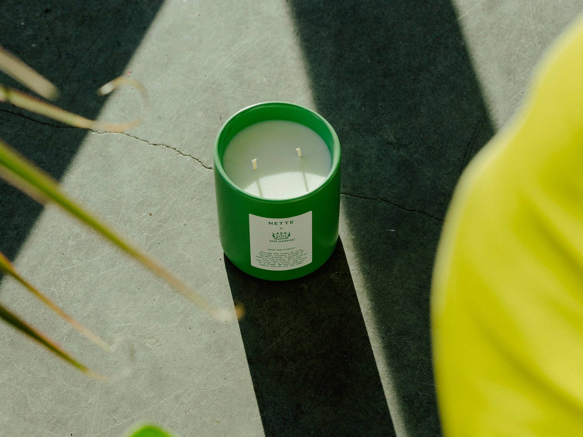 Nette - Wholesale Jar/Filled Candle - Into The Forest Scented Candle3