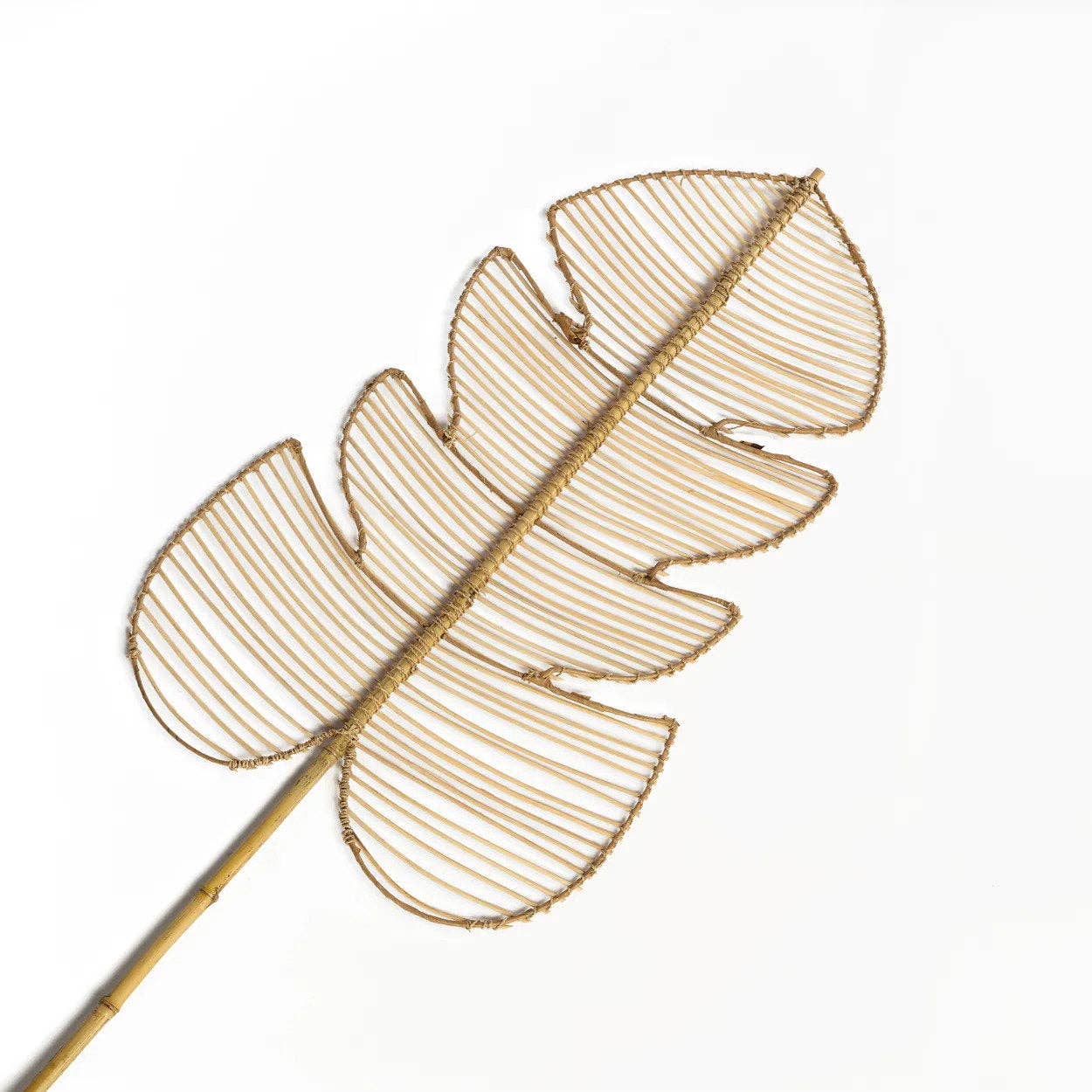 Bazar Bizar Living – wholesale Dekorativt bordsobjekt – Rattanmonstera i naturlig färg3