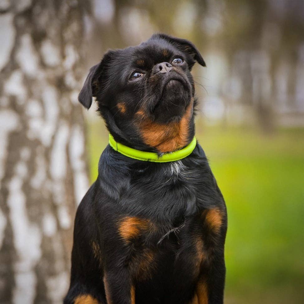 Dogline - Wholesale Halsband - Hond - Zachte Leren Halsband Rond2