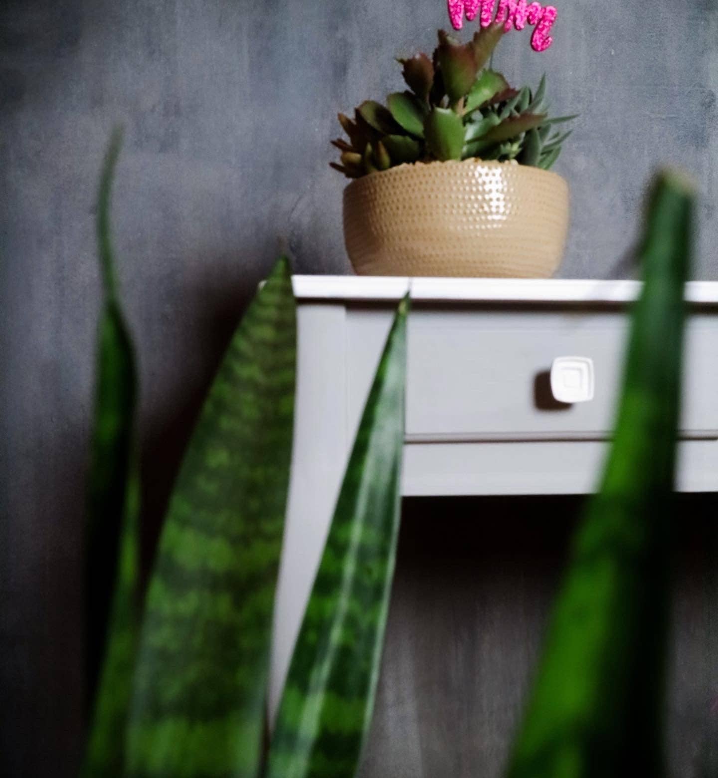 Mint by Michelle - Wholesale Paint Set - The Sound of Rain Mint Mineral Paint3