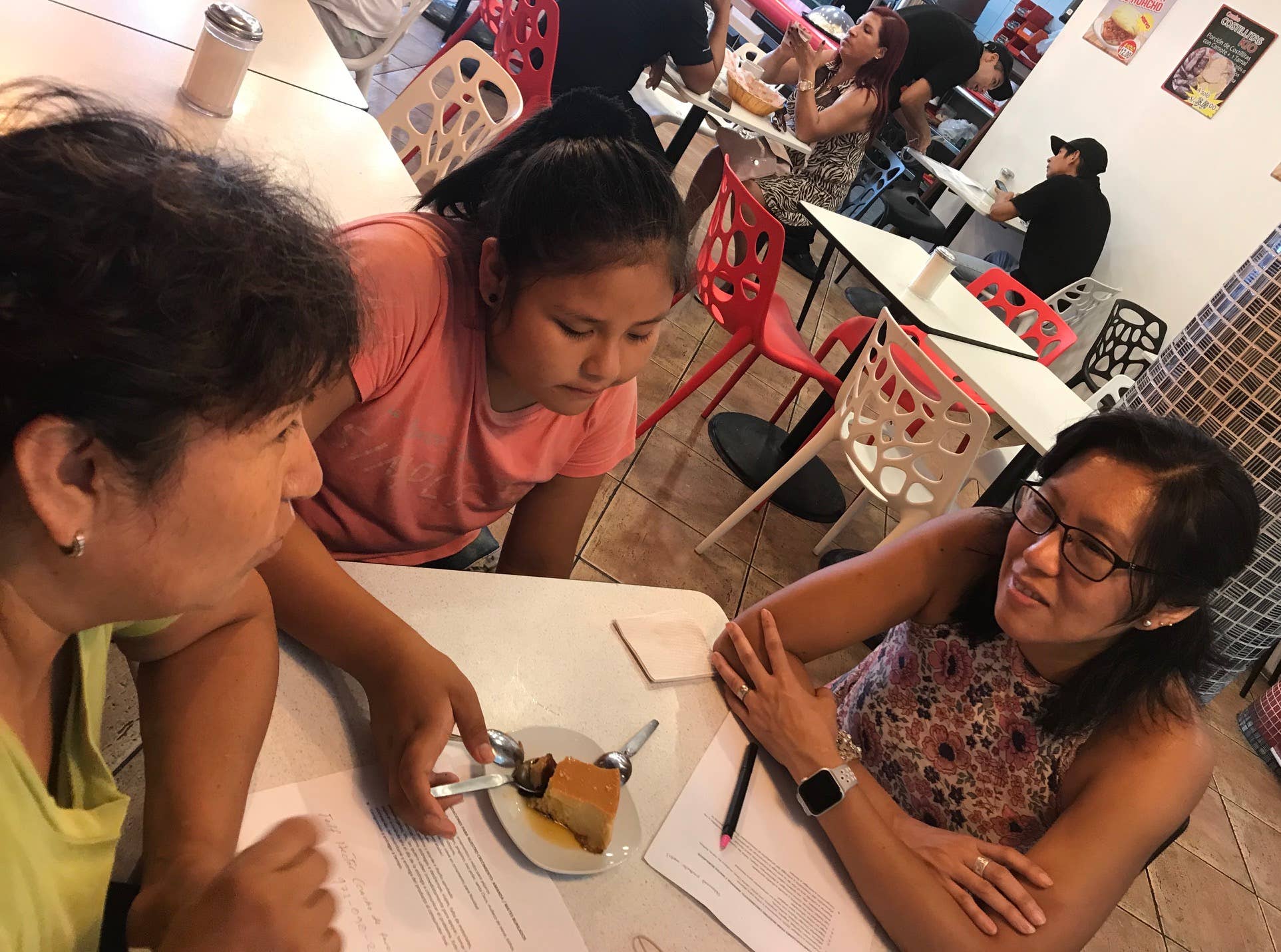 Blossom Inspirations – Großhandel Verzierung – Marienkäfer-Kürbis7