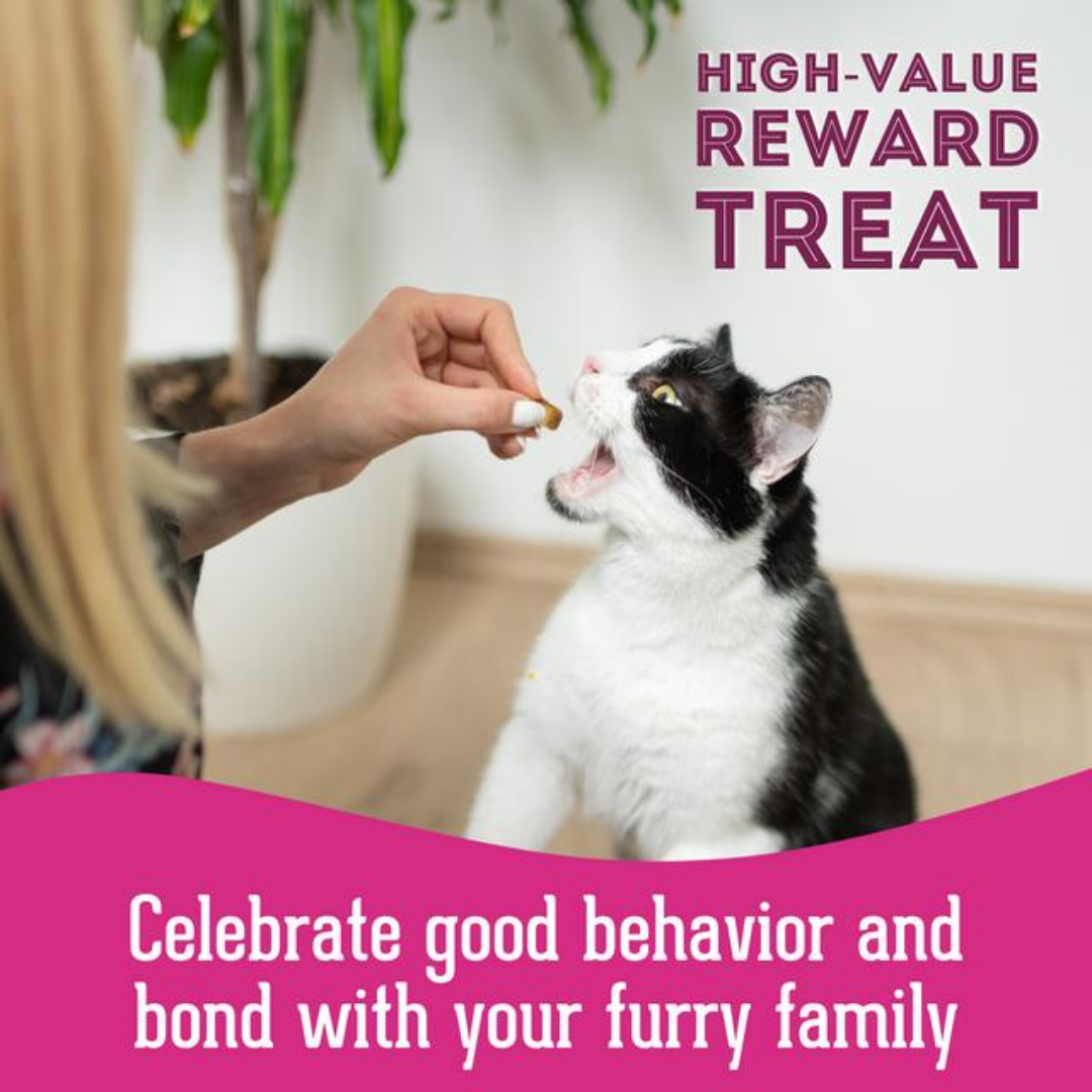 The Granville Island Pet Treatery (Canada) - Vente Friandises – chien - Friandises lyophilisées au saumon sauvage pour animaux de compagnie : riches en protéines et naturelles8