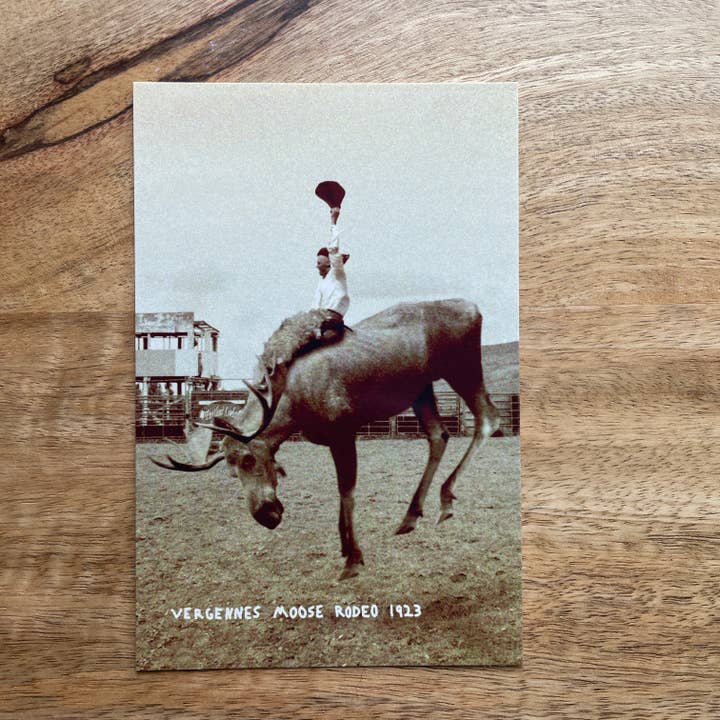 Vergennes Älg Rodeo roligt djur Vykort för wholesale av Colossal Sanders