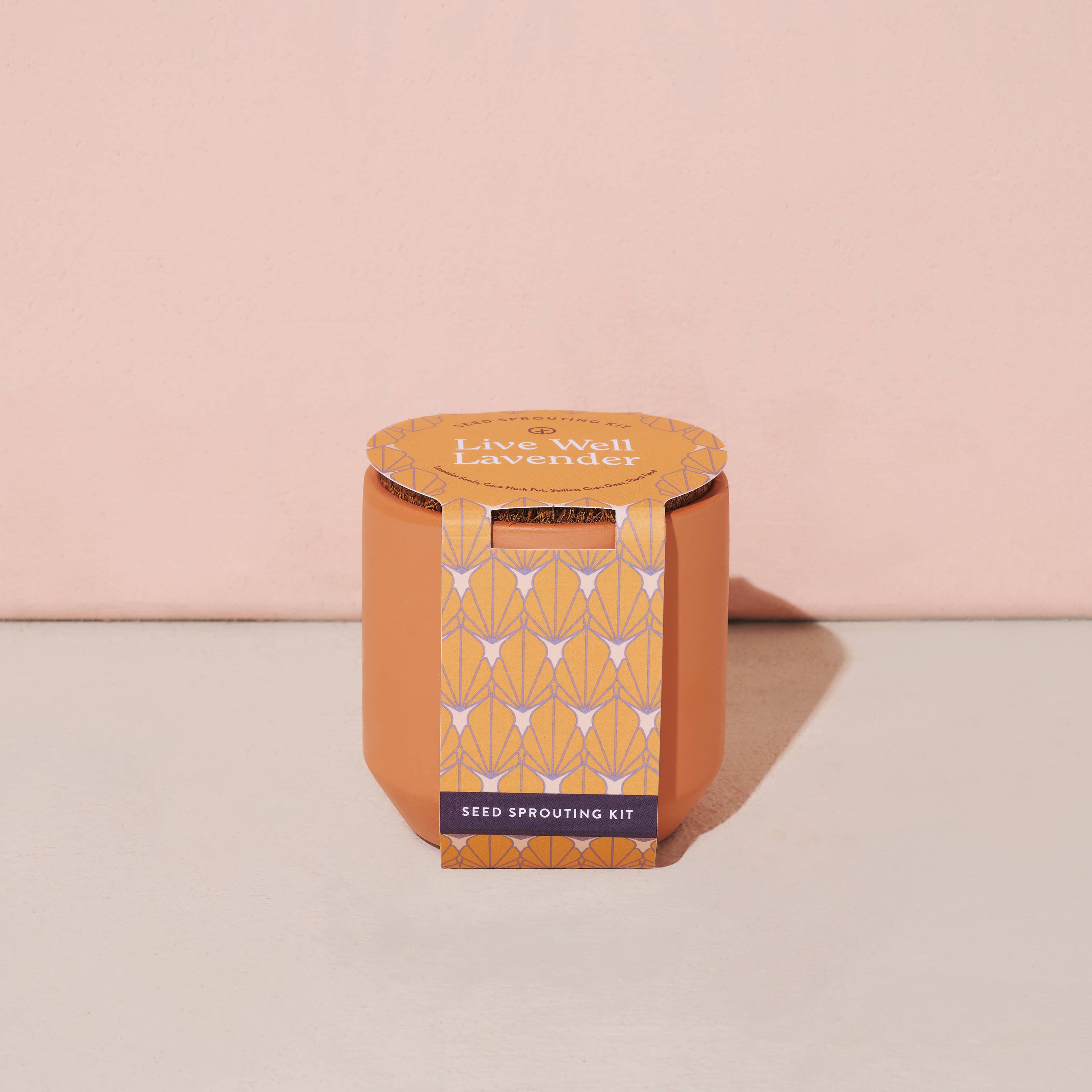 Modern Sprout - Wholesale Plant Seeds - Tiny Terracotta Grow Kits2