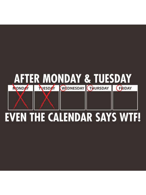 Feelin Good Tees - Wholesale Screen Printed T-Shirt - Unisex - After Monday & Tuesday Even The Calender6