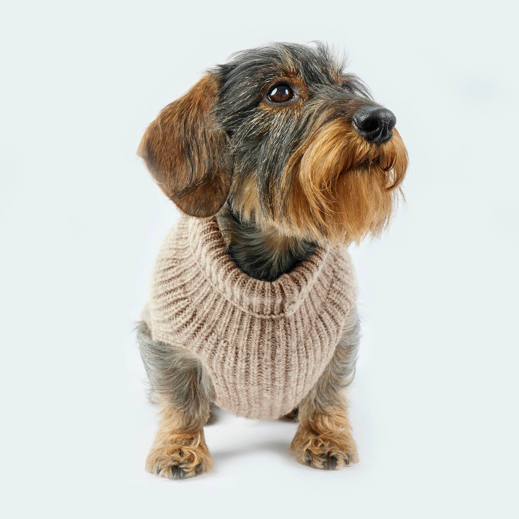 ​​Leopold's Finest for dogs - Wholesale Pet Sweater - Dog - Dog sweater taupe6