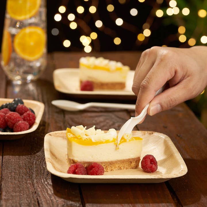 Häago - Wholesale Disposable Plate - 20 Recyclable Palm Leaf Plates5