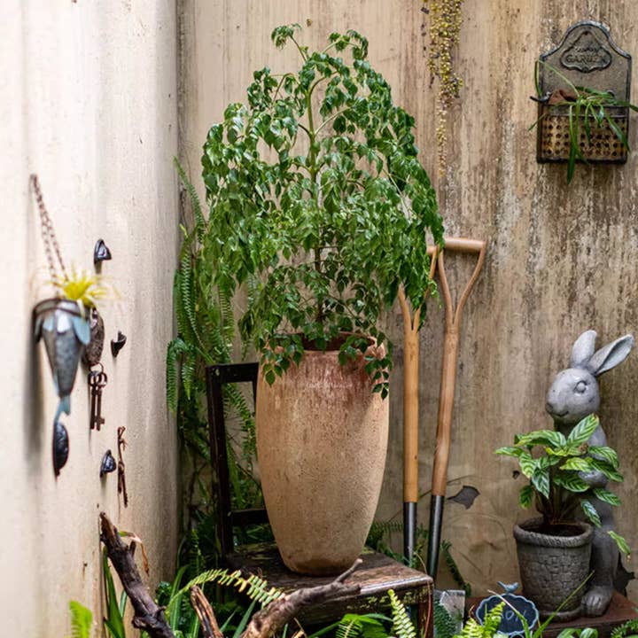 Rustic Reach - Wholesale Plant Pot - Distressed Cement Plant Pot Tall