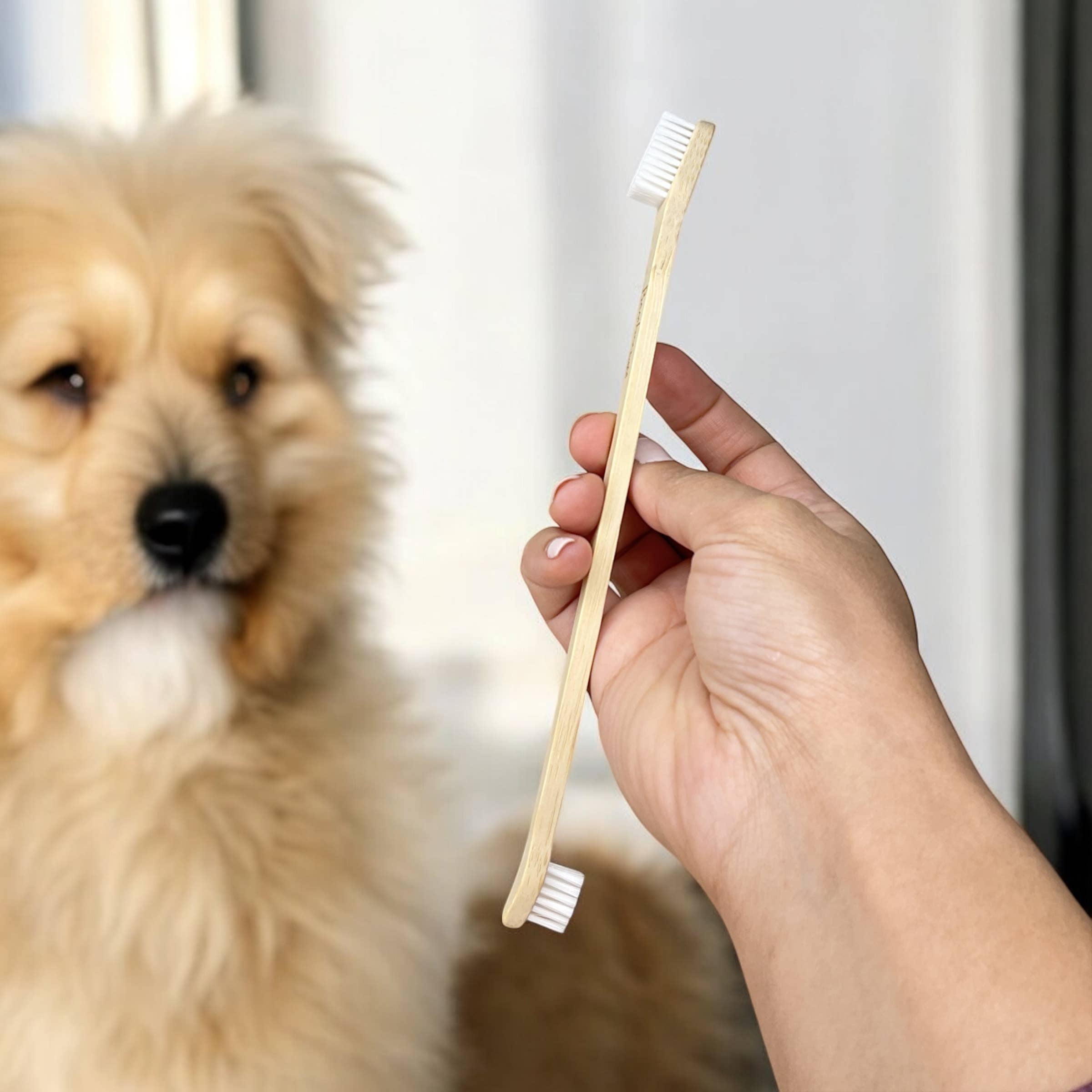 Bamboo Switch - Wholesale Pet Grooming Tool - Dog - Bamboo Dog & Pet Toothbrush2