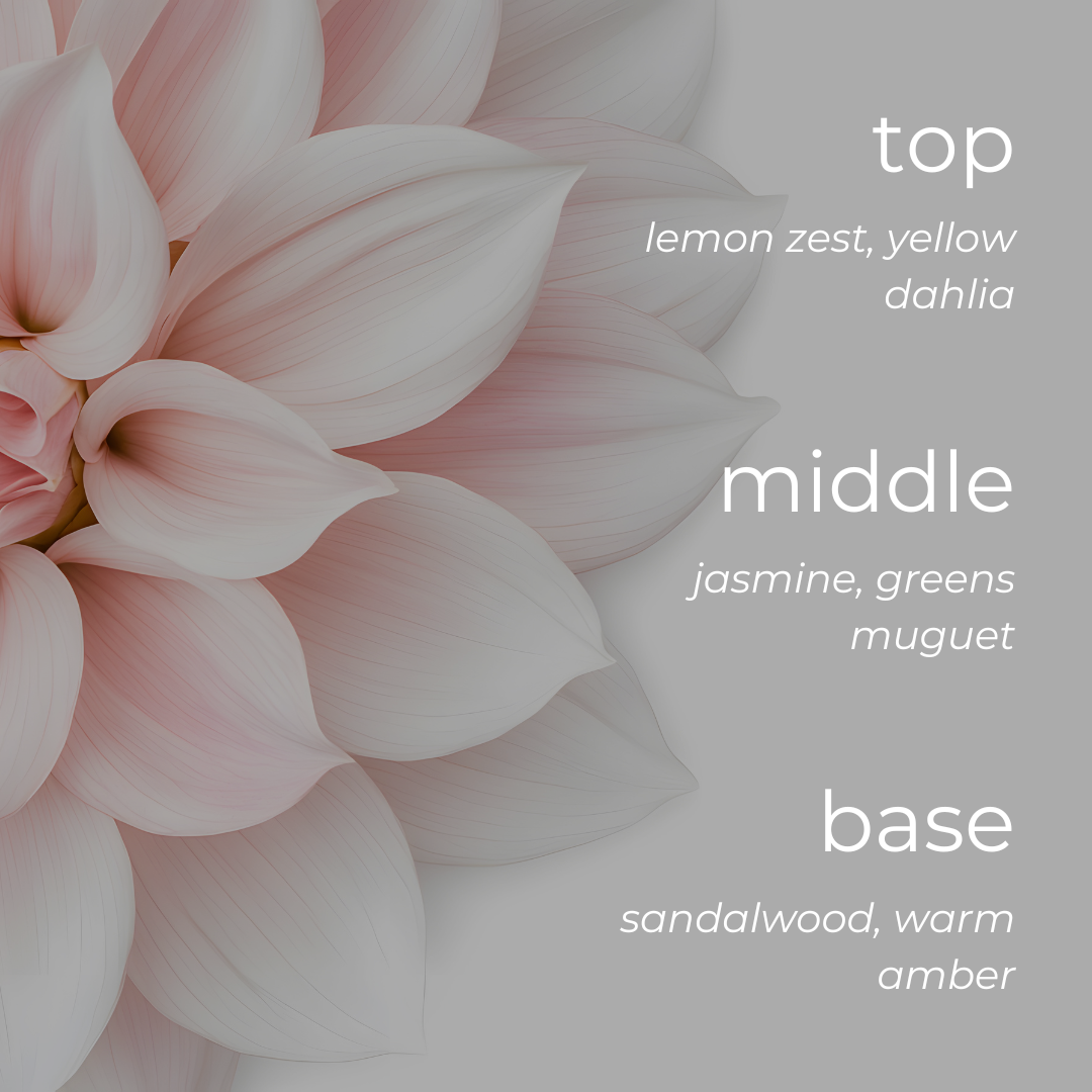 Sparkle Candle Co. - Wholesale Jar/Filled Candle - Blush | 8oz Soy Candle1